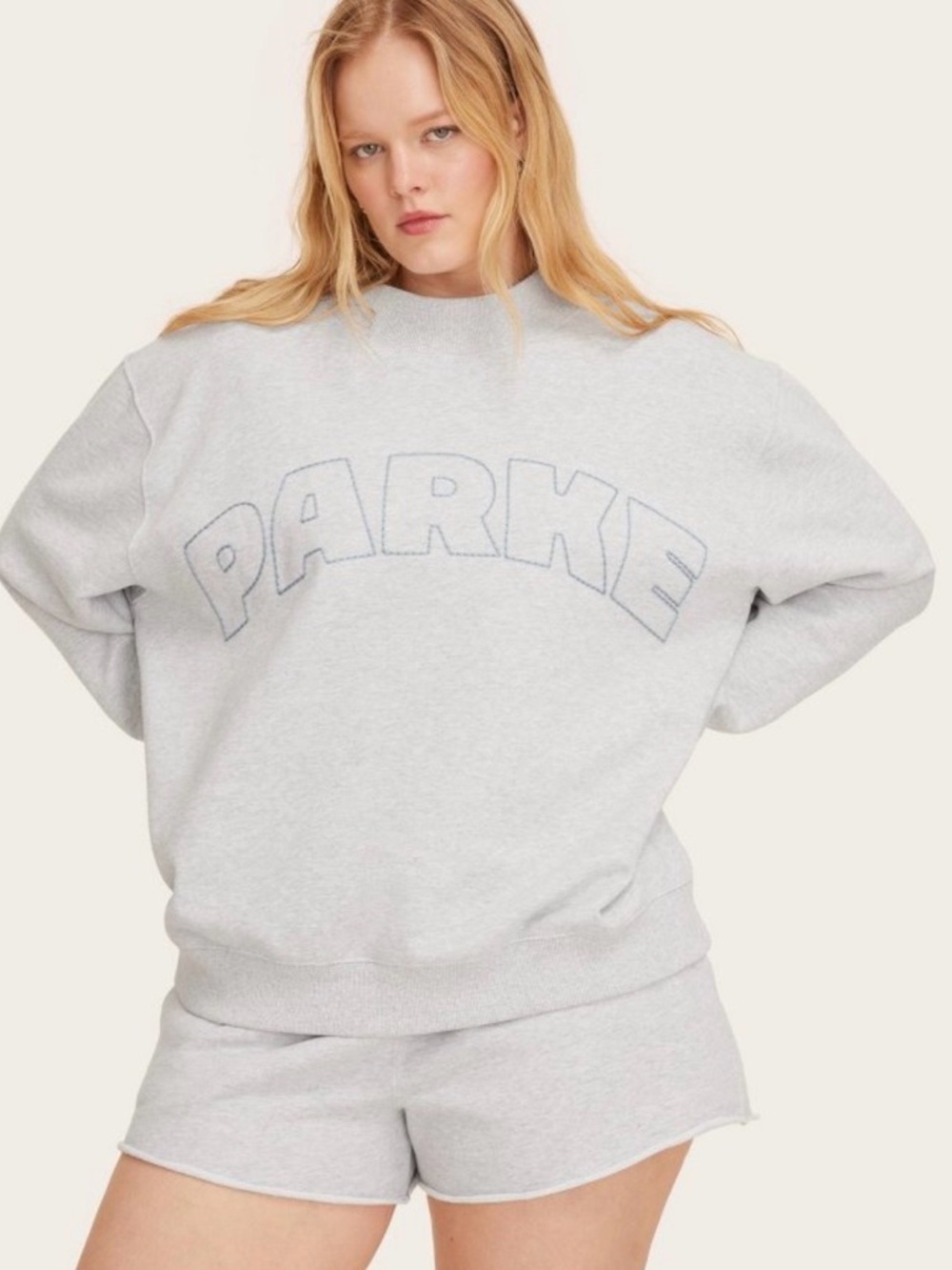 NWT PARKE X TARGET MOCKNECK GREY BLUE SIZE L/XL